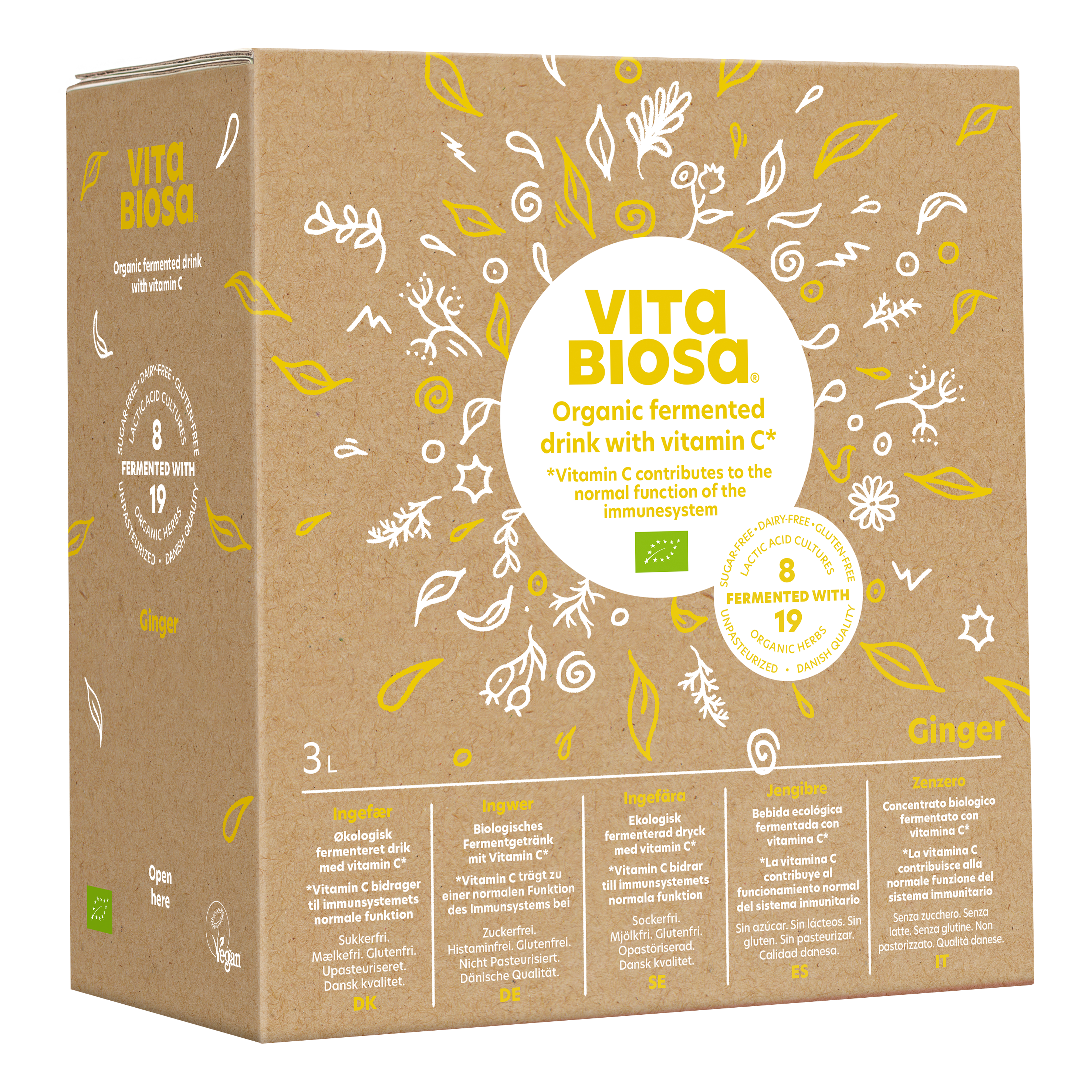 Vita Biosa Ginger 3 Litre